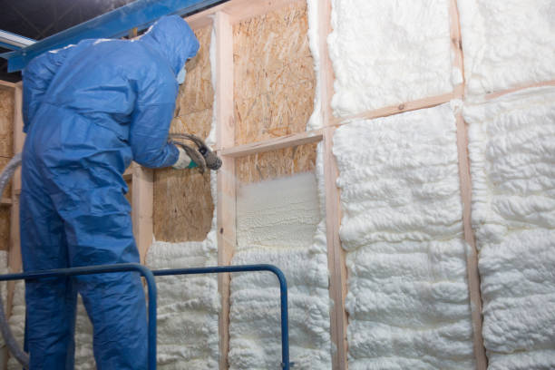 Best Crawl Space Insulation in Sa Loma, CA